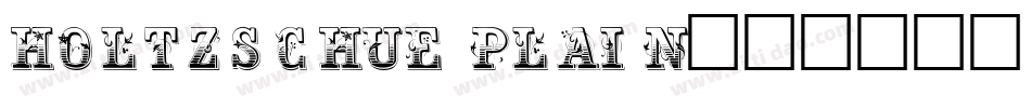 Holtzschue Plain字体转换